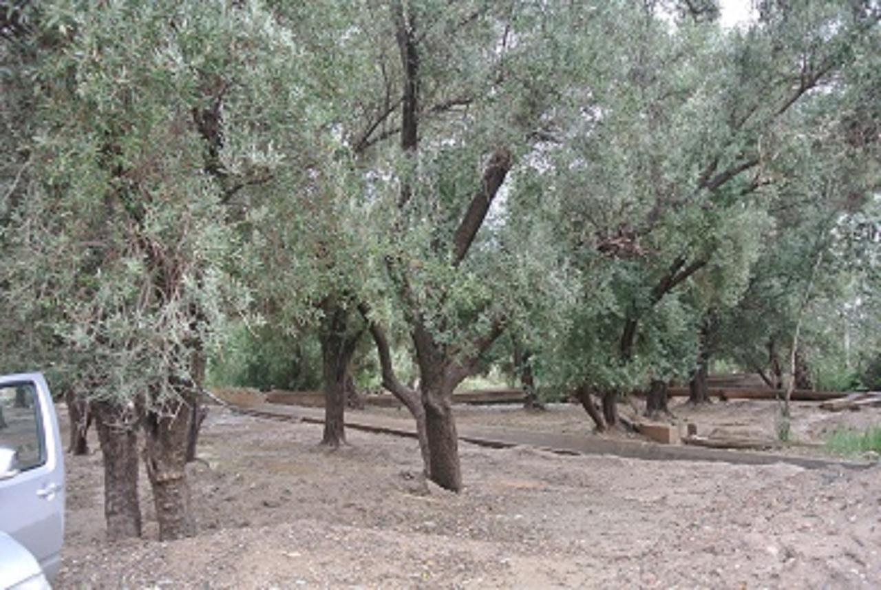Riad Anma Taroudant Exteriör bild